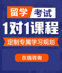 操屄片网址留学考试一对一精品课